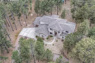 10916 Silver Mountain Point, Colorado Springs, CO 80908 - Photo 48