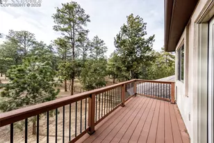 10916 Silver Mountain Point, Colorado Springs, CO 80908 - Photo 44