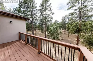 10916 Silver Mountain Point, Colorado Springs, CO 80908 - Photo 44