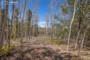 1548 Golden Cycle Cir, Cripple Creek, CO 80813 - Photo 18