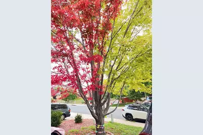 1310 Chesham Circle, Colorado Springs, CO 80907 - Photo 46