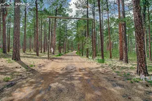 17990 Canterbury Dr, Monument, CO 80132 - Photo 6