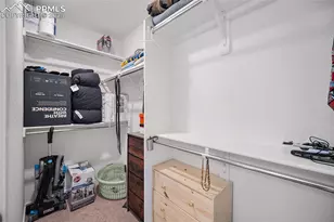 5769 Thurless Ln, Colorado Springs, CO 80927 - Photo 22