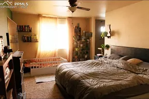 3051 Shikra View, Colorado Springs, CO 80916 - Photo 10