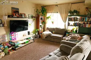 3051 Shikra View, Colorado Springs, CO 80916 - Photo 4