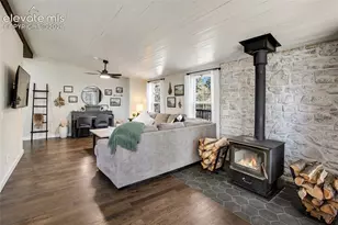 403 Pioneer Creek Dr, Florissant, CO 80816 - Photo 4