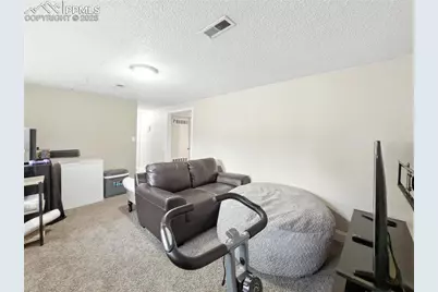 6610 Player Place, Colorado Springs, CO 80911 - Photo 24