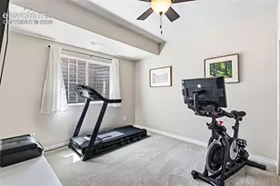3729 Floating Cloud Ct, Colorado Springs, CO 80908 - Photo 32