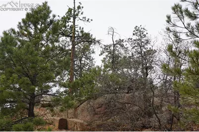 1893 Arapahoe Drive, Cripple Creek, CO 80813 - Photo 4