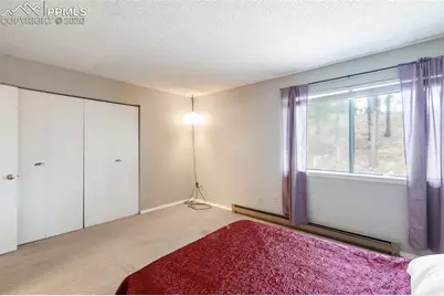 560 Manor Court #C, Woodland Park, CO 80863 - Photo 20