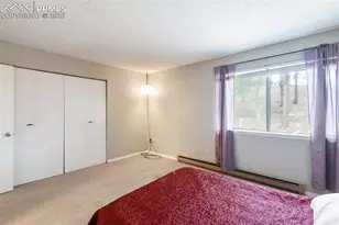 560 Manor Ct, Woodland Park, CO 80863 - Photo 20