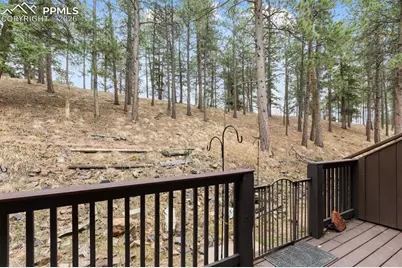 560 Manor Court #C, Woodland Park, CO 80863 - Photo 26