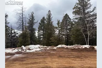 84 Point View Circle, Florissant, CO 80816 - Photo 2