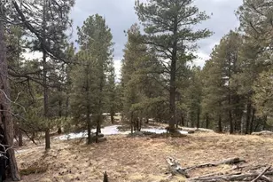 84 Point View Cir, Florissant, CO 80816 - Photo 1