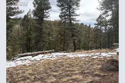 84 Point View Circle, Florissant, CO 80816 - Photo 8