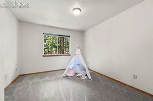 316 N Walnut St, Woodland Park, CO 80863 - Photo 22