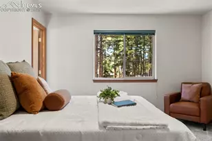 316 N Walnut St, Woodland Park, CO 80863 - Photo 18