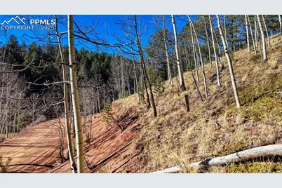 741 Pikes Peak Drive, Divide, CO 80814 - Photo 30