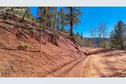 741 Pikes Peak Drive, Divide, CO 80814 - Photo 16