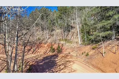 741 Pikes Peak Drive, Divide, CO 80814 - Photo 18