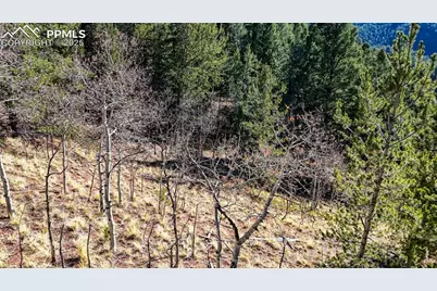 741 Pikes Peak Drive, Divide, CO 80814 - Photo 10