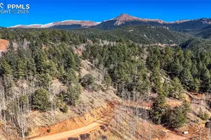 741 Pikes Peak Dr, Divide, CO 80814 - Photo 1