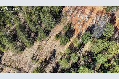 741 Pikes Peak Drive, Divide, CO 80814 - Photo 6