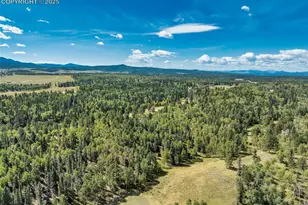 284 County Road 511 Rd, Divide, CO 80814 - Photo 44
