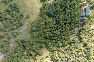 284 County Road 511 Rd, Divide, CO 80814 - Photo 46