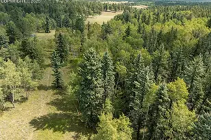 284 County Road 511 Rd, Divide, CO 80814 - Photo 44