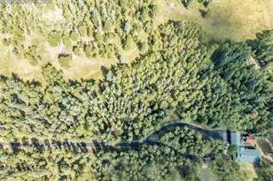 284 County Road 511 Rd, Divide, CO 80814 - Photo 42