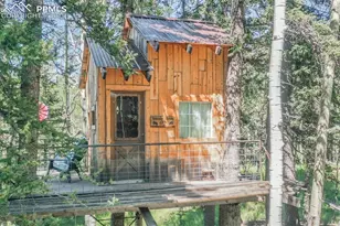 284 County Road 511 Rd, Divide, CO 80814 - Photo 40