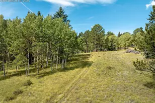 284 County Road 511 Rd, Divide, CO 80814 - Photo 40