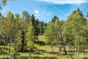 284 County Road 511 Rd, Divide, CO 80814 - Photo 48