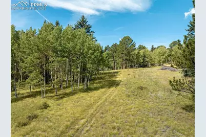 284 County Road 511 Road, Divide, CO 80814 - Photo 38