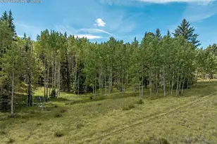284 County Road 511 Rd, Divide, CO 80814 - Photo 42