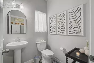 18450 Dunes Lake Ln, Monument, CO 80132 - Photo 36