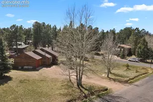 165 Vaquero Senda, Woodland Park, CO 80863 - Photo 34