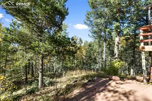 679 Calcite Dr, Divide, CO 80814 - Photo 26