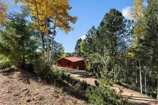 679 Calcite Dr, Divide, CO 80814 - Photo 30