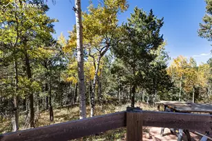 679 Calcite Dr, Divide, CO 80814 - Photo 30