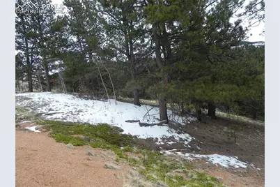 153 Idlewild Drive, Cripple Creek, CO 80813 - Photo 10
