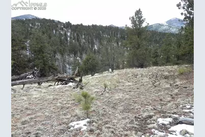 153 Idlewild Drive, Cripple Creek, CO 80813 - Photo 2