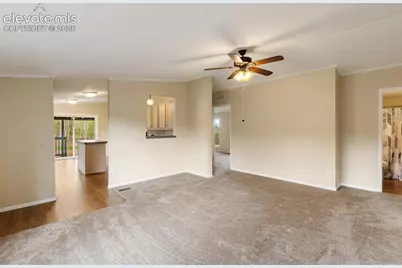 100 Wolverine Drive, Florissant, CO 80816 - Photo 14