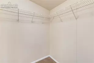 100 Wolverine Dr, Florissant, CO 80816 - Photo 30