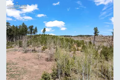 100 Wolverine Drive, Florissant, CO 80816 - Photo 46