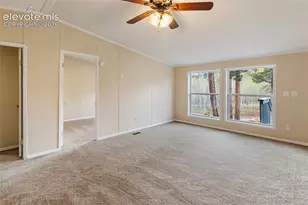 100 Wolverine Dr, Florissant, CO 80816 - Photo 16