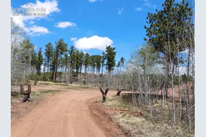 100 Wolverine Drive, Florissant, CO 80816 - Photo 6