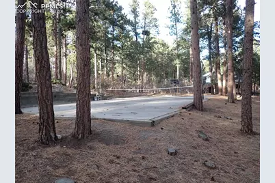 19550 W Top O The Moor Drive, Monument, CO 80132 - Photo 30