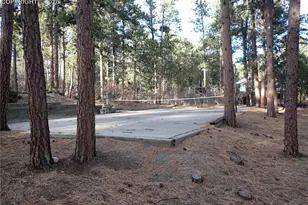 19550 W Top O The Moor Dr, Monument, CO 80132 - Photo 30